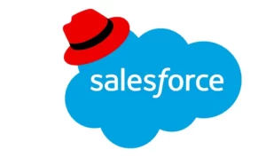 Salesforce Internship