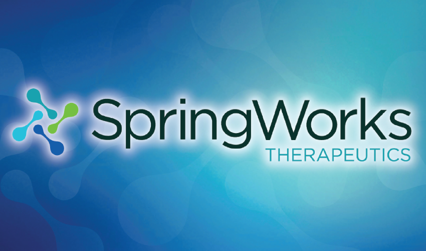 Springworks Careers