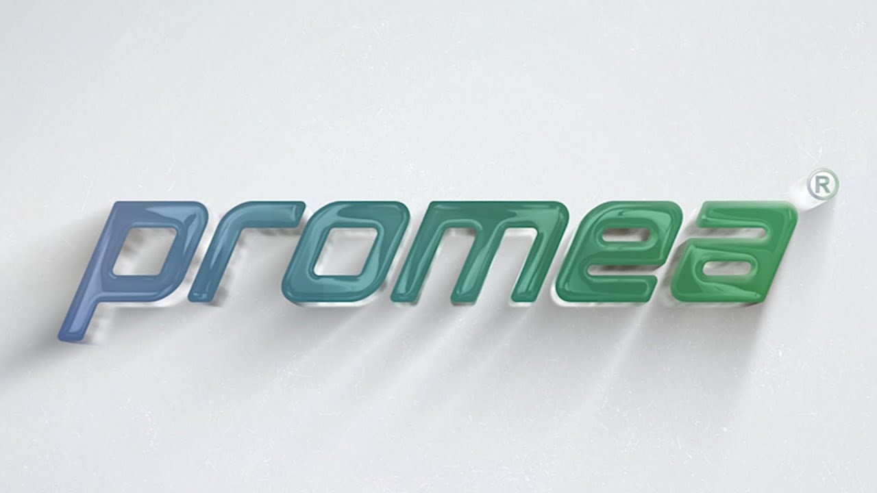 Promea Recruitment 2024