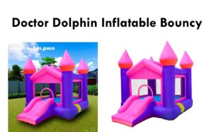 Doctor Dolphin Inflatable Bouncy